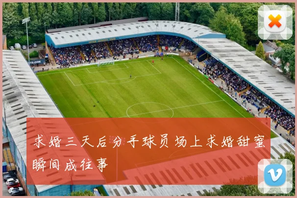 求婚三天后分手球员场上求婚甜蜜瞬间成往事