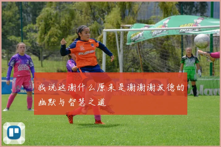 我说这谢什么原来是谢谢谢泼德的幽默与智慧之道