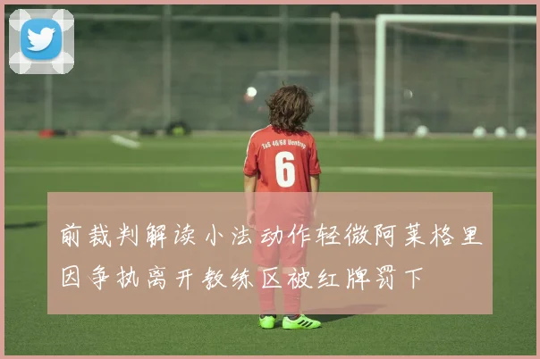 前裁判解读小法动作轻微阿莱格里因争执离开教练区被红牌罚下