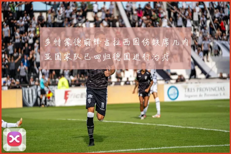 多特蒙德前锋吉拉西因伤缺席几内亚国家队已回归德国进行治疗